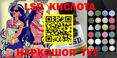 гидра Заводоуковск