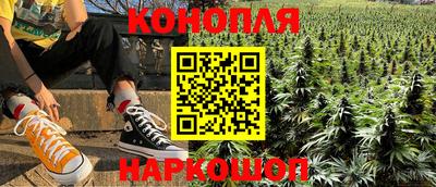 гидра Заводоуковск