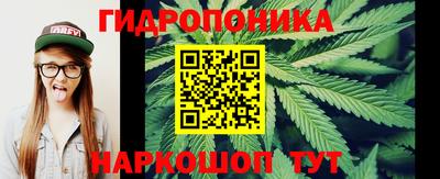 гидра Заводоуковск